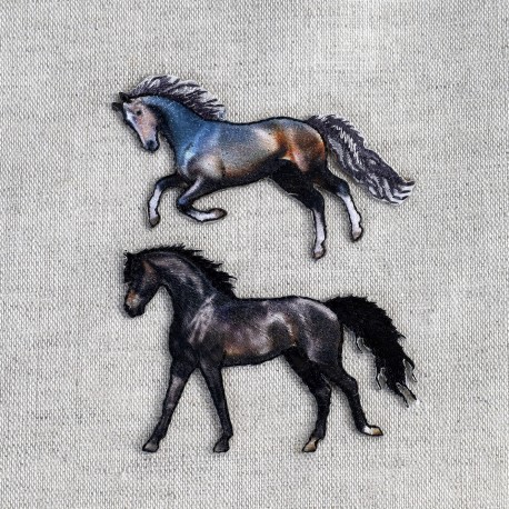 stephanoise M16483 - M ECUSSON CHEVAL