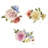M ECUSSON ROSES