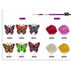 S butterfly