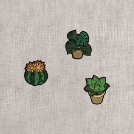 S Motif plants
