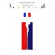 FRENCH FLAG RIBBON