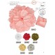 FLEUR PIVOINE S/BROCHE