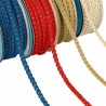 two-tone braided trim