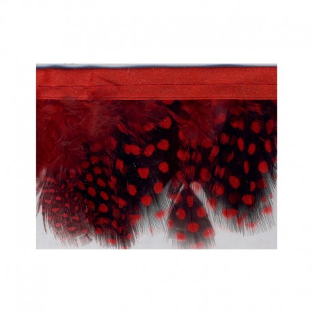 FEDERBORTE - Stephanoise mediac