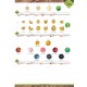 BOUTONS NACRE GLITTER